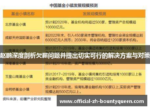 赵鹏深度剖析欠薪问题并提出切实可行的解决方案与对策